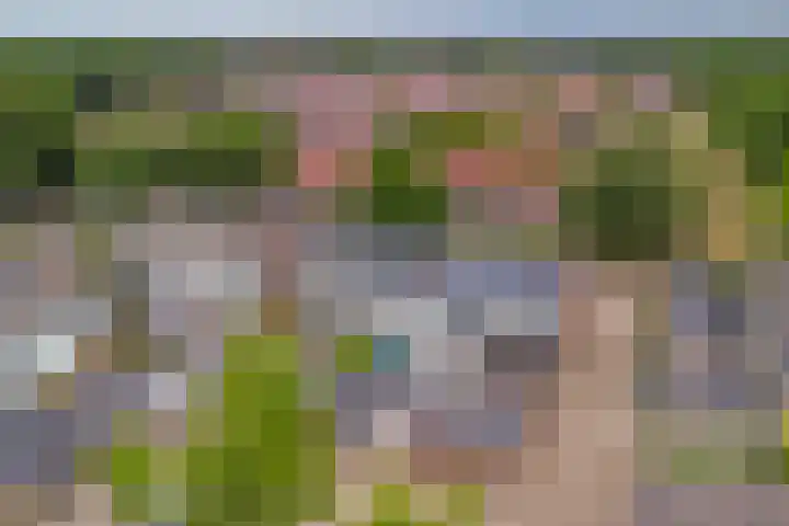 Homberg 1559 Wijchen thumbnail 39