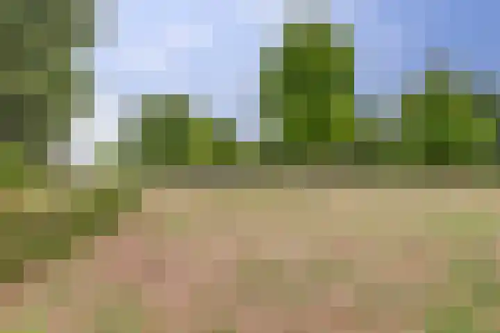 Homberg 1559 Wijchen thumbnail 40