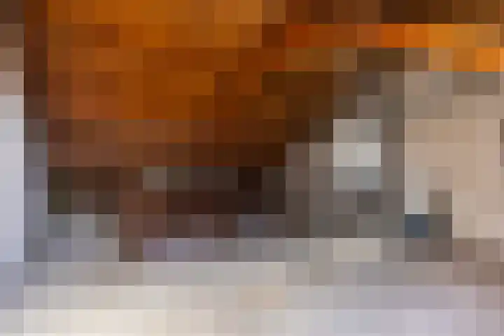 Homberg 2035 Wijchen thumbnail 10