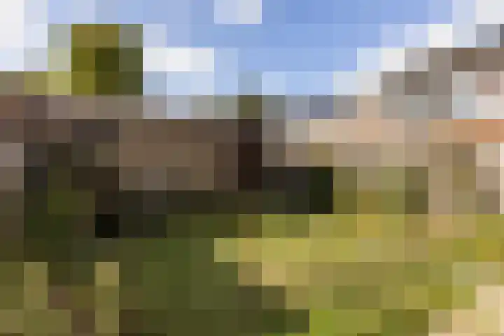 Homberg 2035 Wijchen thumbnail 11