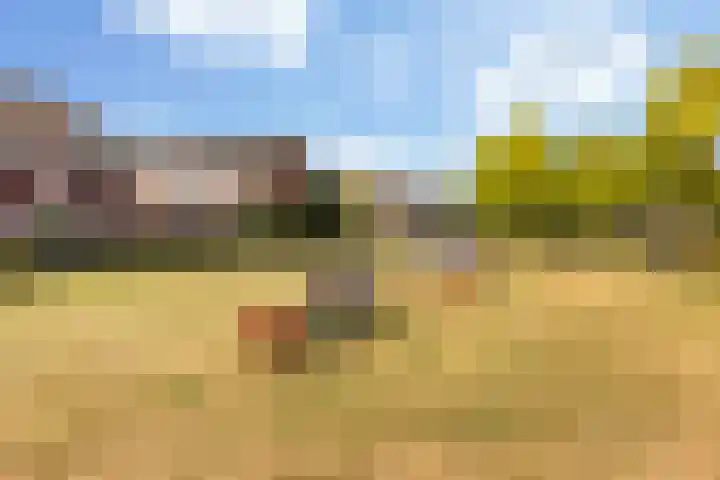 Homberg 2035 Wijchen thumbnail 14