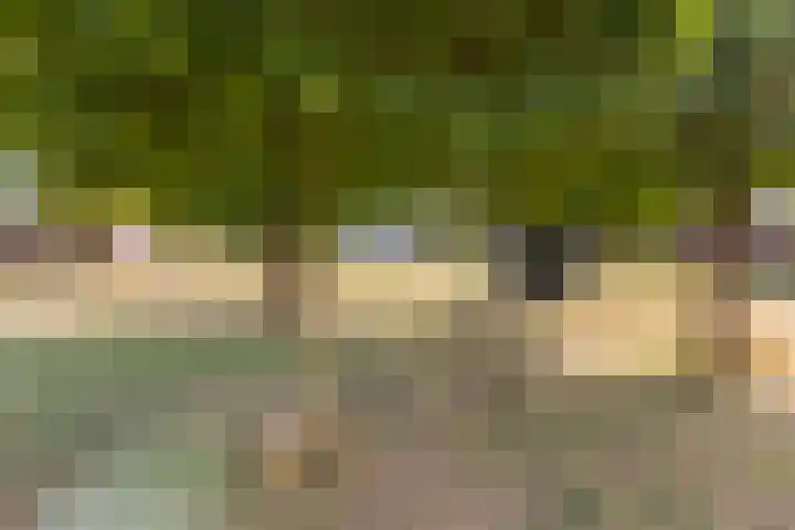 Homberg 2035 Wijchen thumbnail 15