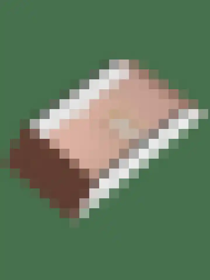 Homberg 2035 Wijchen thumbnail 22