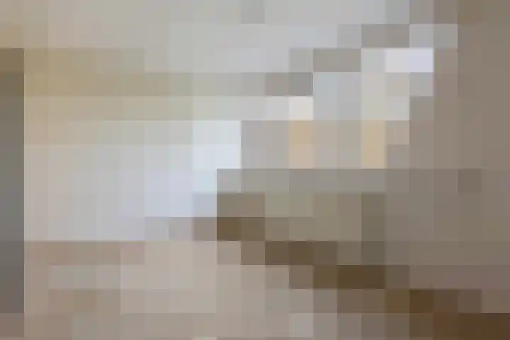 Homberg 2245 Wijchen thumbnail 13