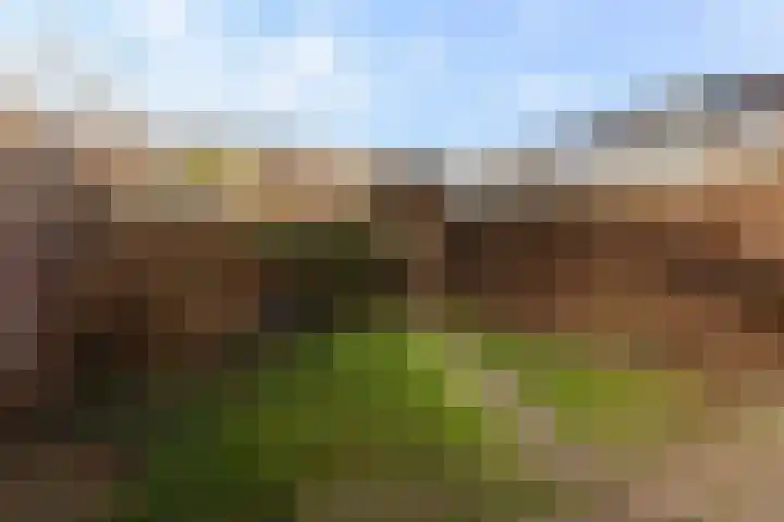 Homberg 2245 Wijchen thumbnail 16