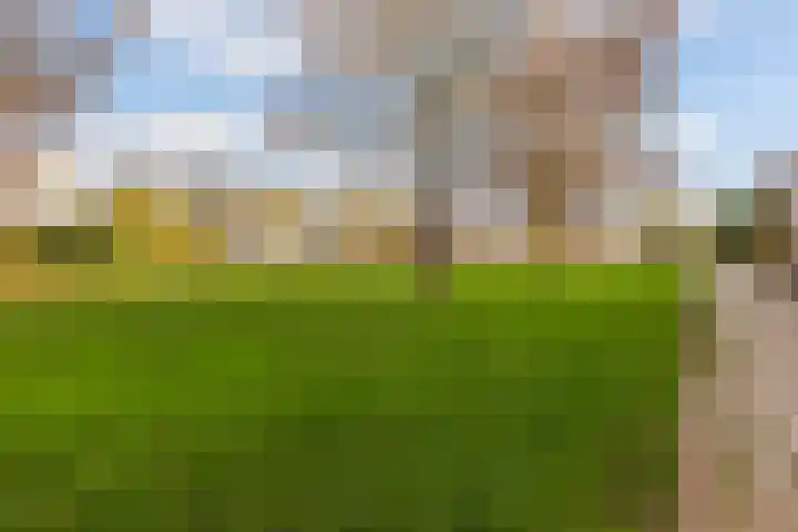 Homberg 2245 Wijchen thumbnail 18