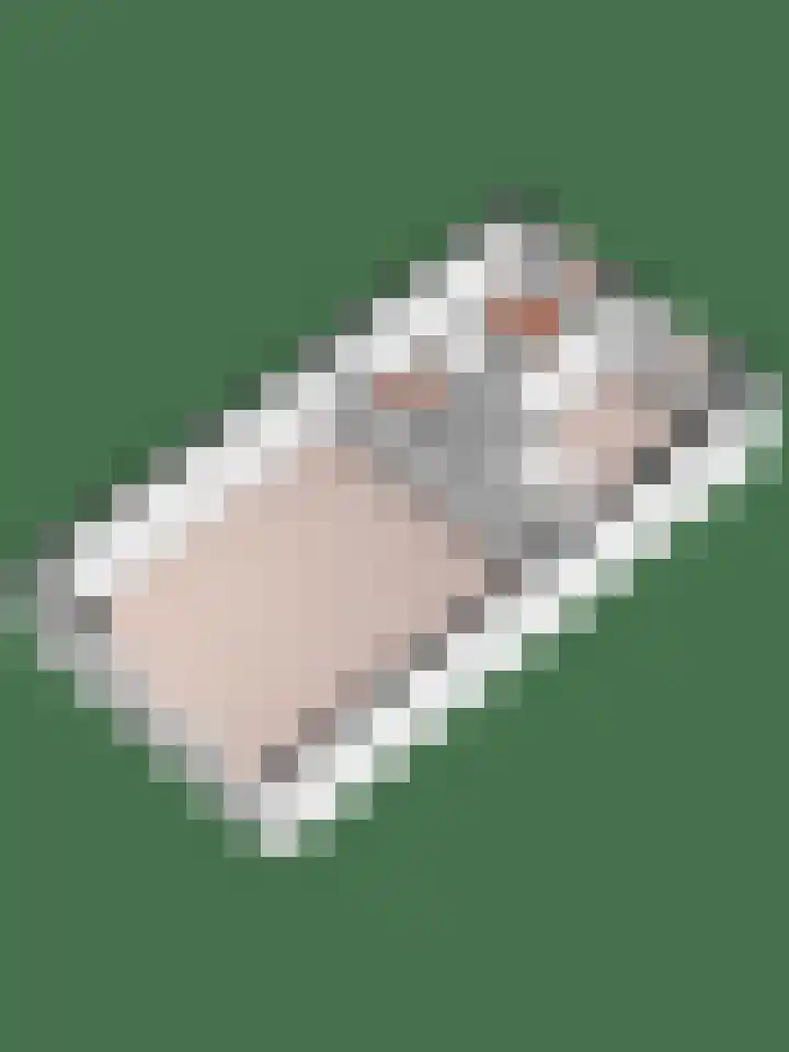 Homberg 2245 Wijchen thumbnail 24