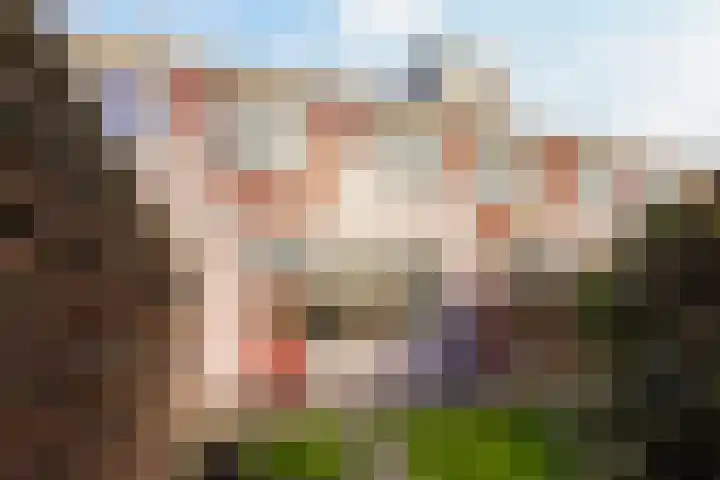 Homberg 2245 Wijchen thumbnail 5
