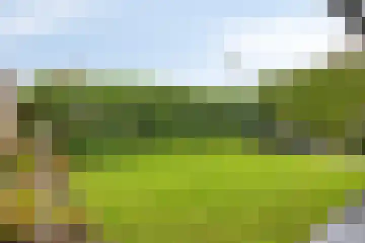 Homberg 2320 Wijchen thumbnail 27