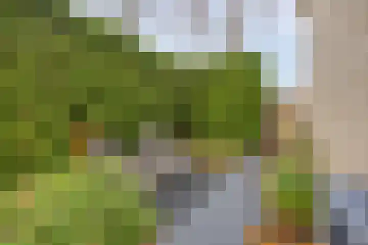 Homberg 2320 Wijchen thumbnail 28