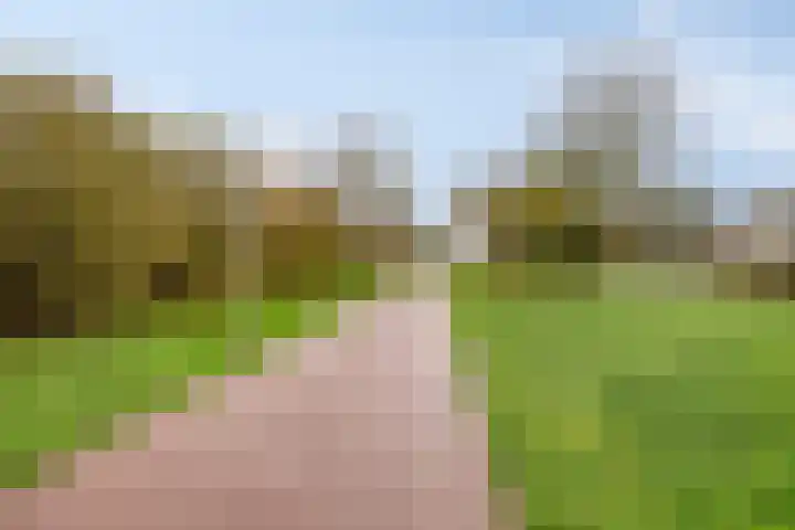 Homberg 2320 Wijchen thumbnail 32