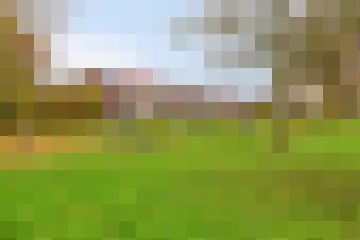 Homberg 2320 Wijchen thumbnail 33