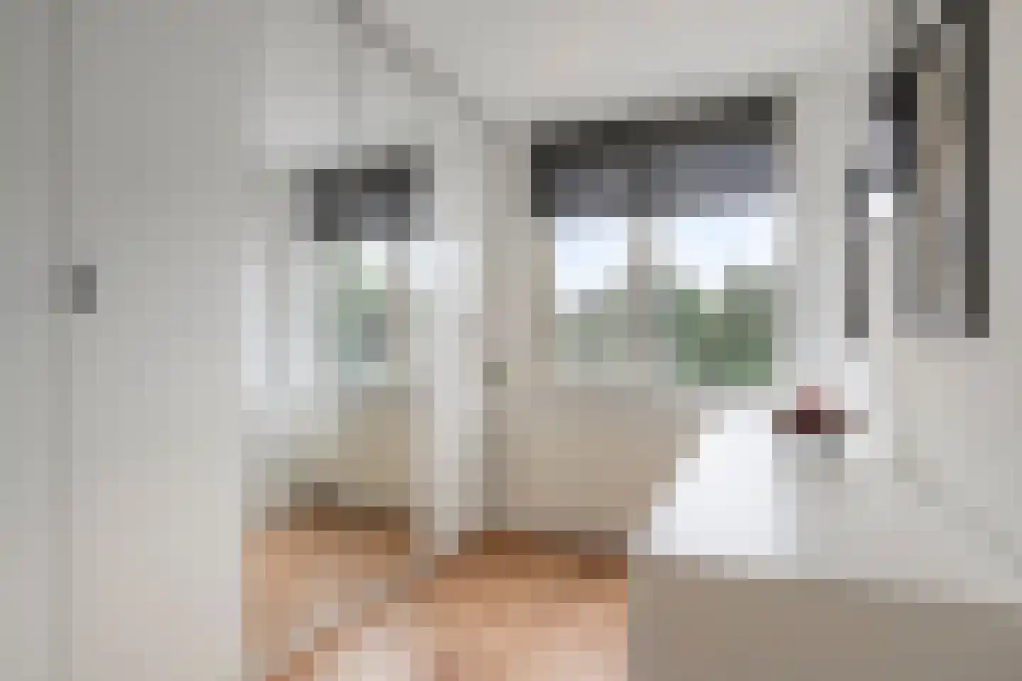 Homberg 2426 Wijchen thumbnail 23