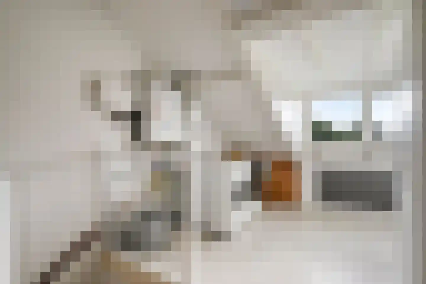 Homberg 2426 Wijchen thumbnail 27