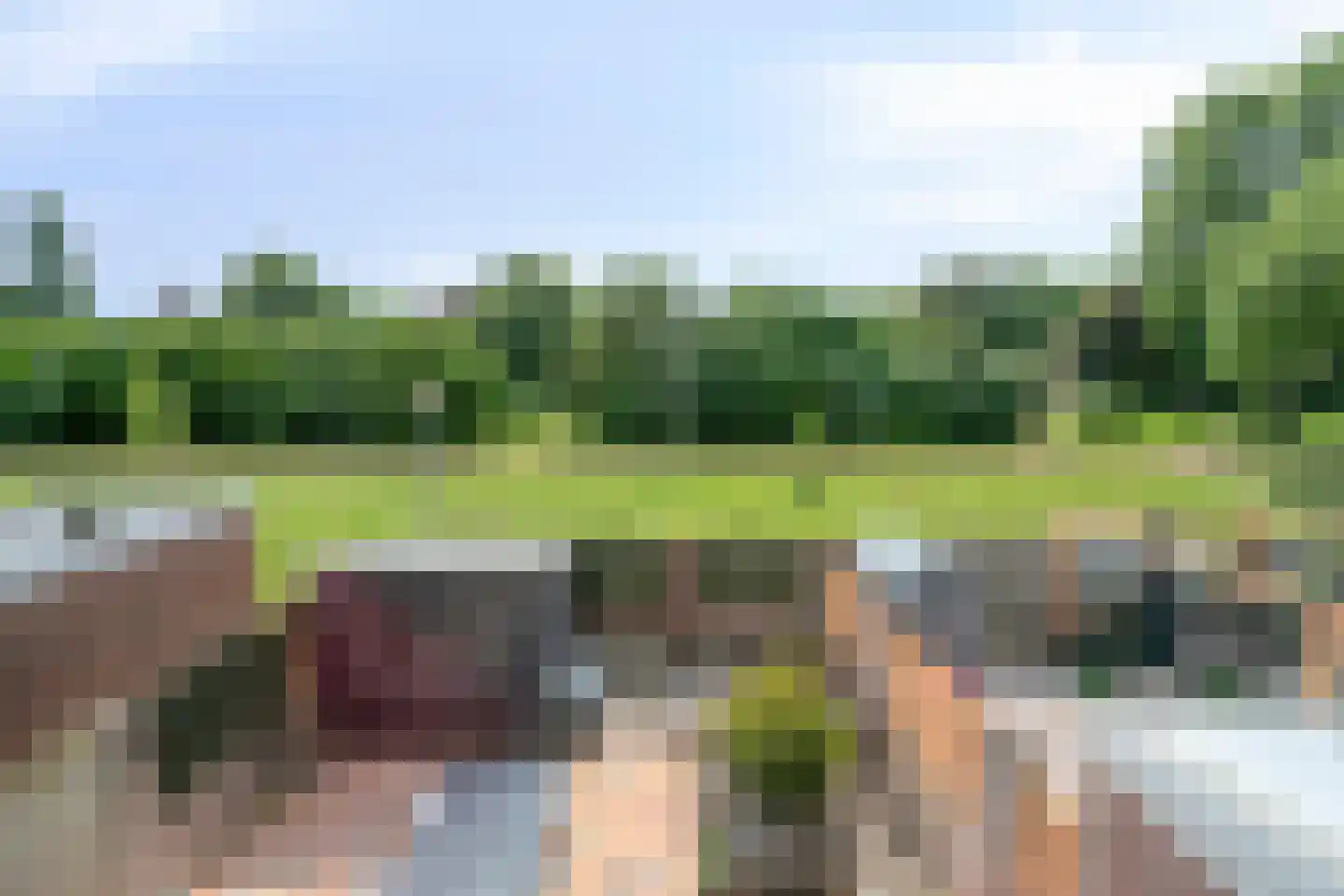 Homberg 2426 Wijchen thumbnail 32