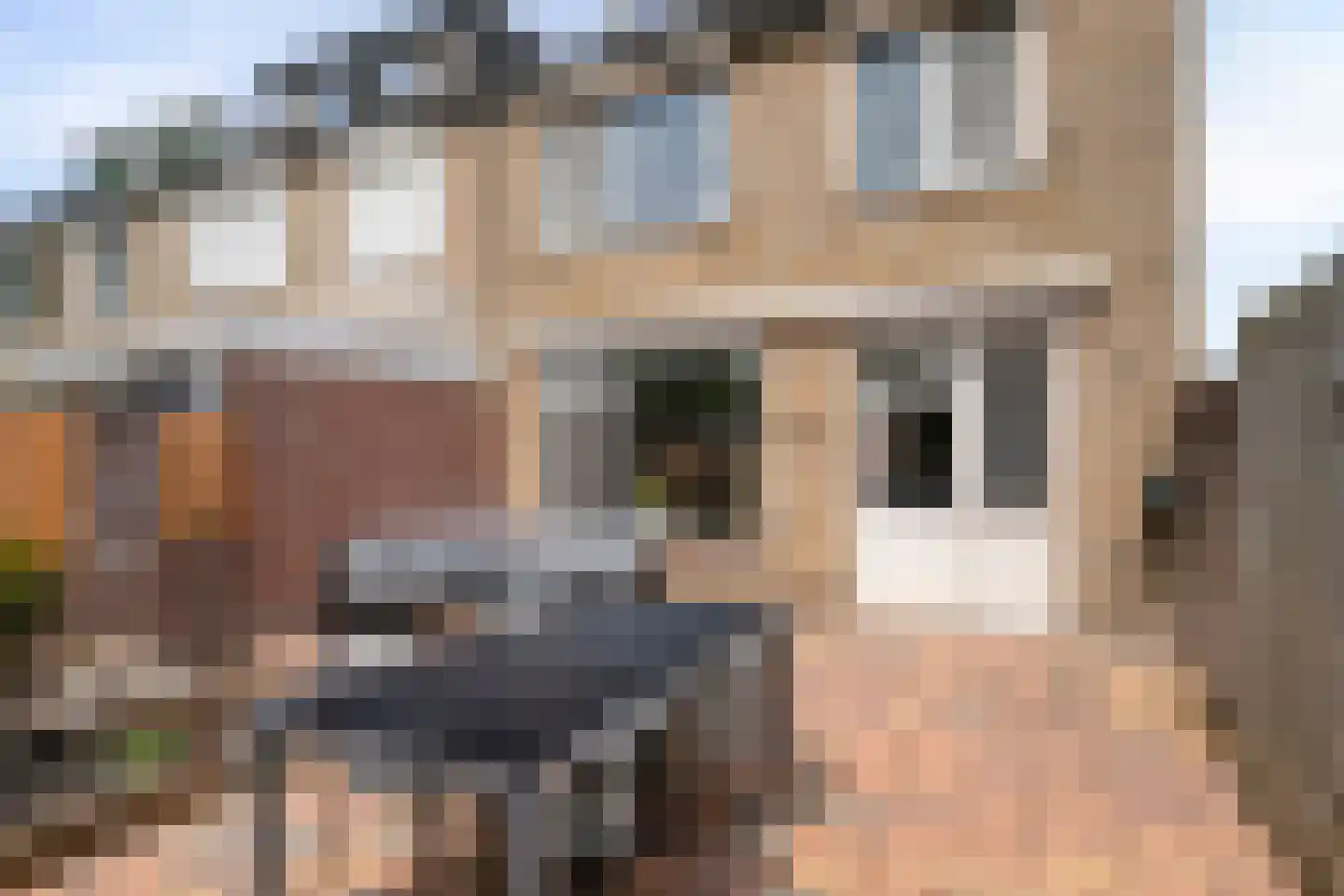 Homberg 2426 Wijchen thumbnail 35