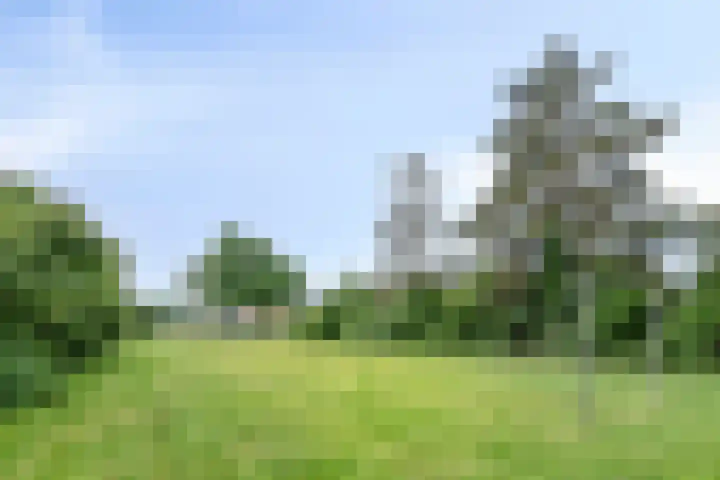 Homberg 2426 Wijchen thumbnail 46