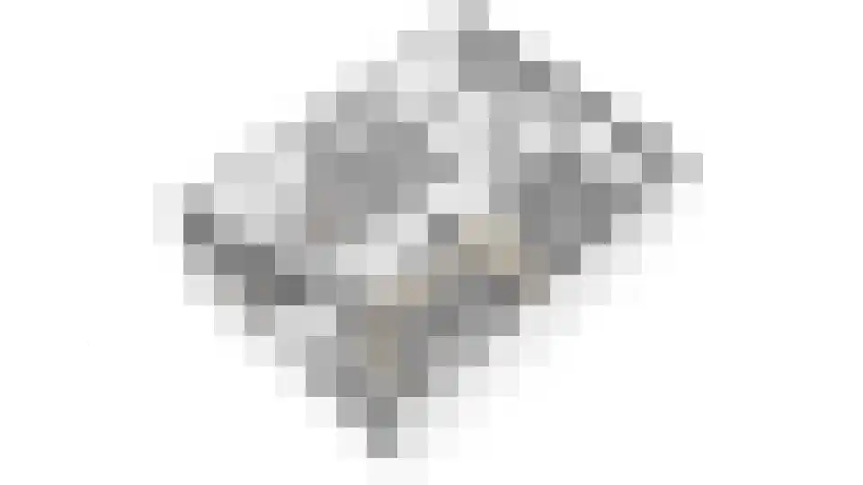 Homberg 2714 Wijchen thumbnail 33