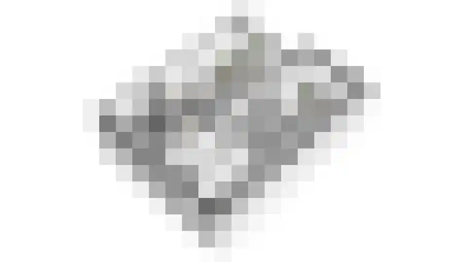 Homberg 2714 Wijchen thumbnail 34