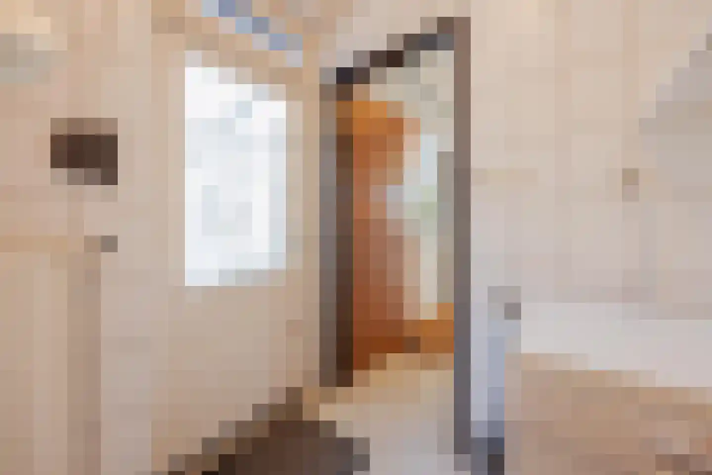 Hombergerweg 20 Lottum thumbnail 18