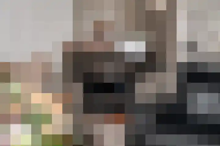 Hombergstraat 6 Hegelsom thumbnail 11