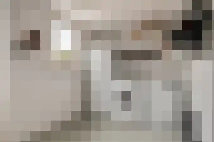 Hombergstraat 6 Hegelsom thumbnail 12