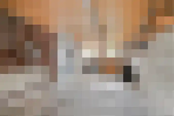 Hombergstraat 6 Hegelsom thumbnail 13