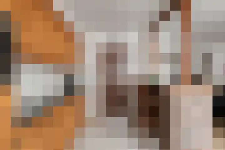 Hombergstraat 6 Hegelsom thumbnail 4