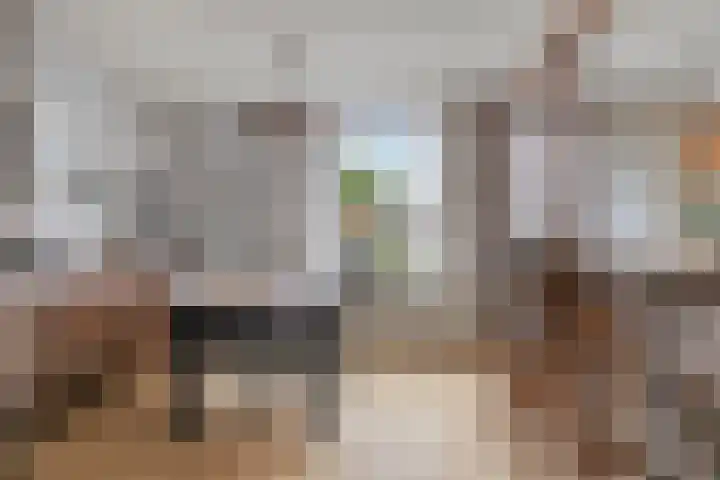 Hombergstraat 6 Hegelsom thumbnail 7