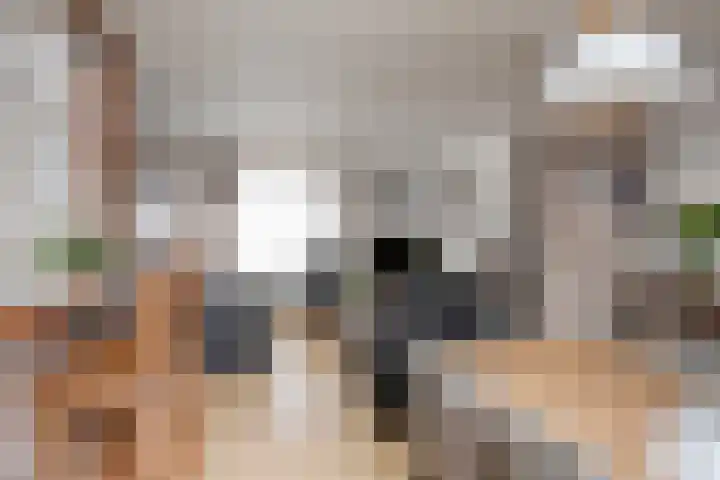 Hombergstraat 6 Hegelsom thumbnail 8