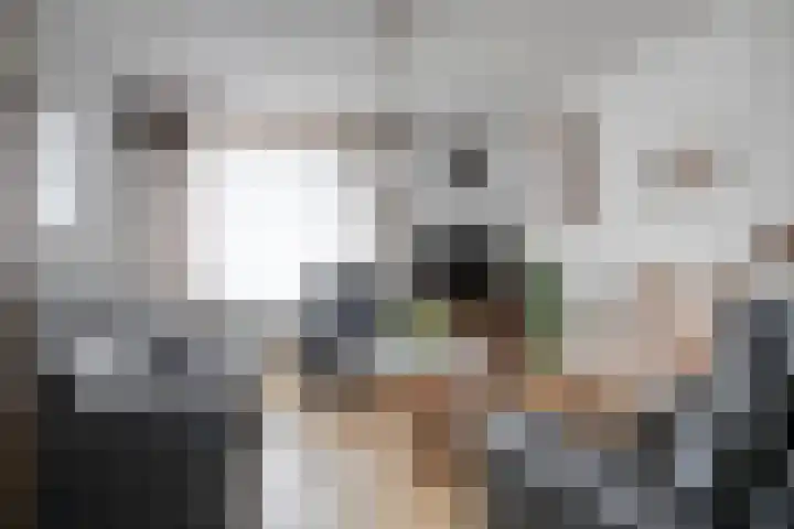 Hombergstraat 6 Hegelsom thumbnail 9
