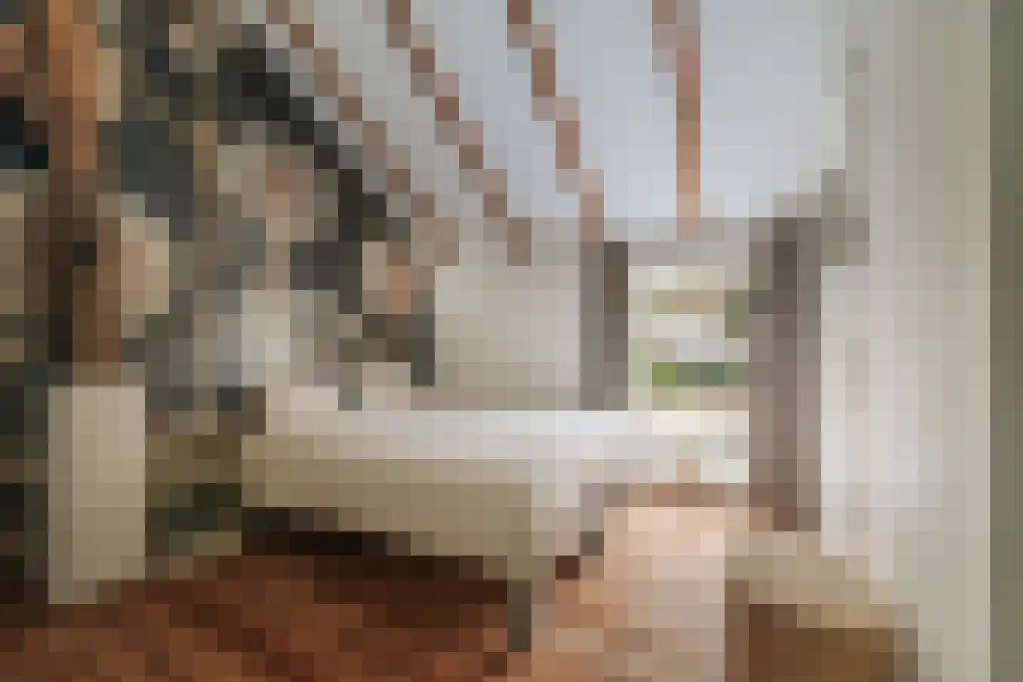 Hombrakensepad 3 A Wilp thumbnail 19