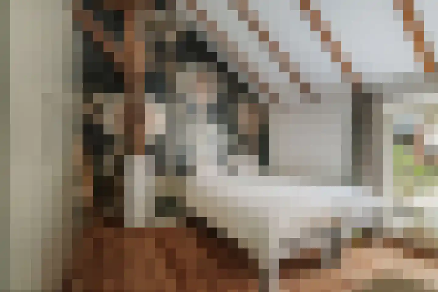 Hombrakensepad 3 A Wilp thumbnail 20