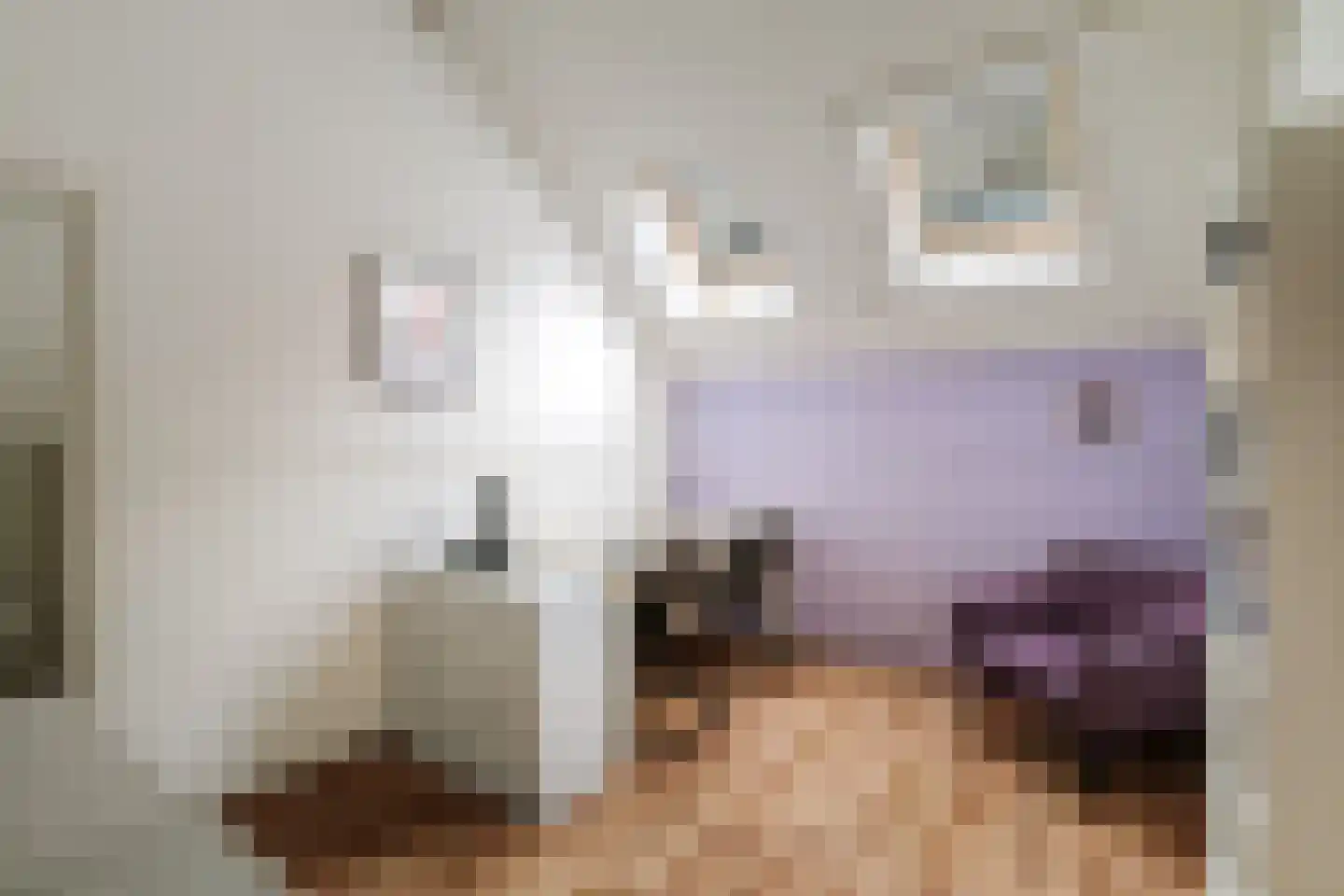 Hombrakensepad 3 A Wilp thumbnail 29