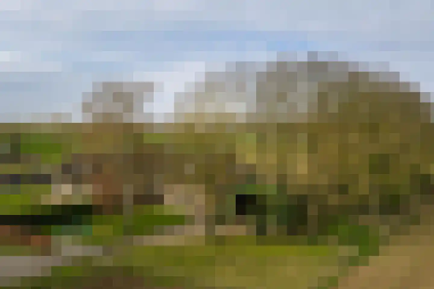 Hombrakensepad 3 A Wilp foto 3