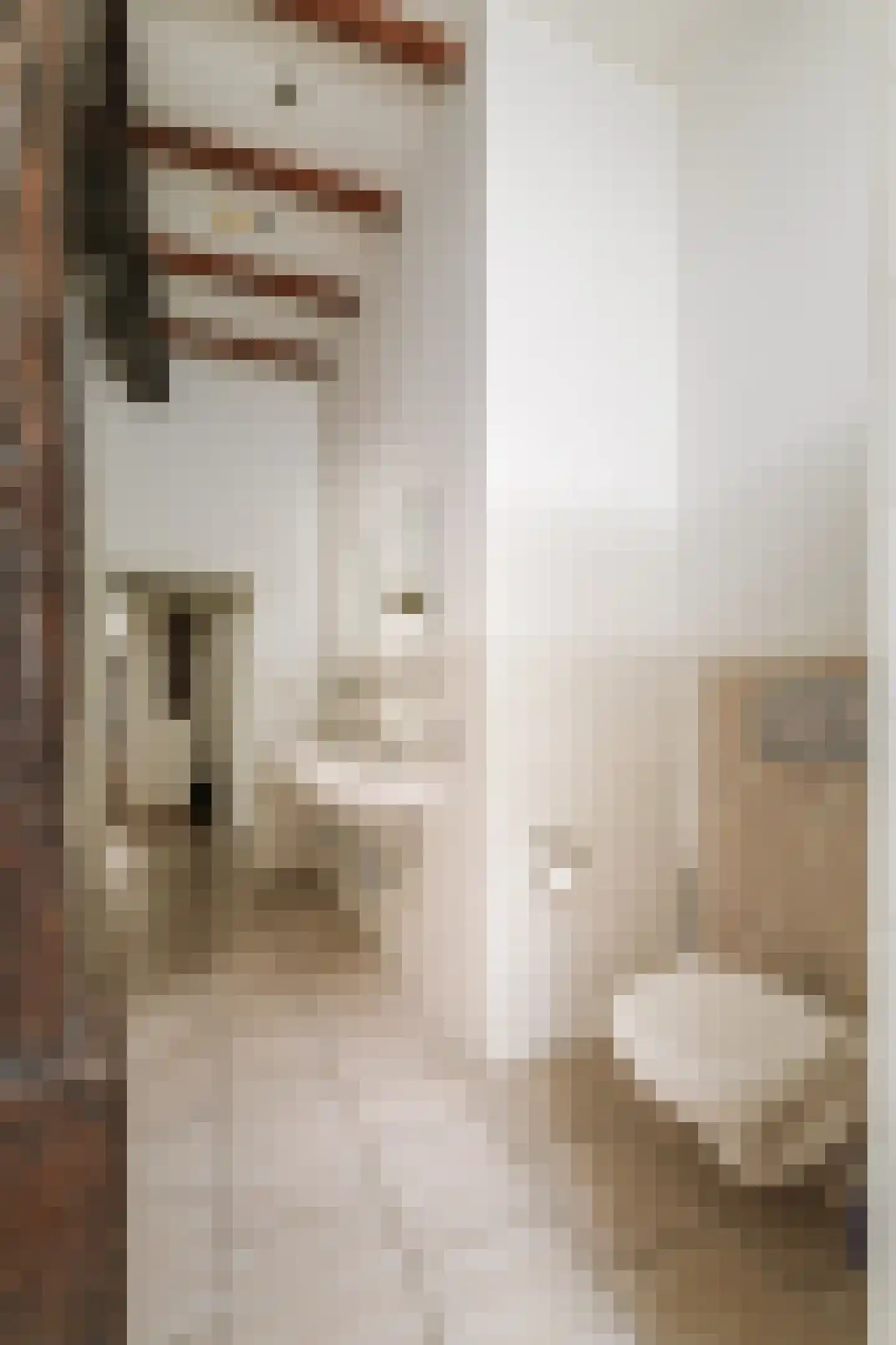 Hombrakensepad 3 A Wilp thumbnail 31