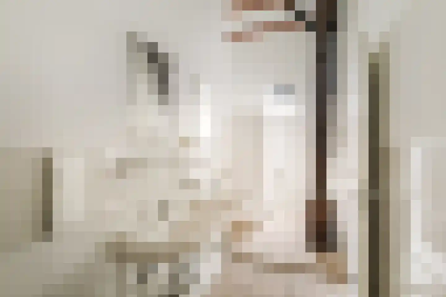 Hombrakensepad 3 A Wilp thumbnail 32