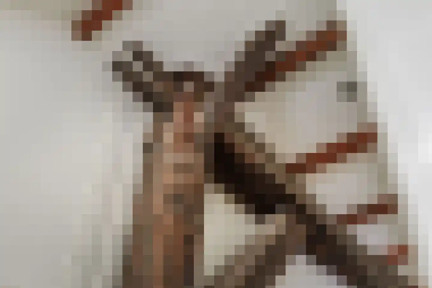 Hombrakensepad 3 A Wilp thumbnail 34