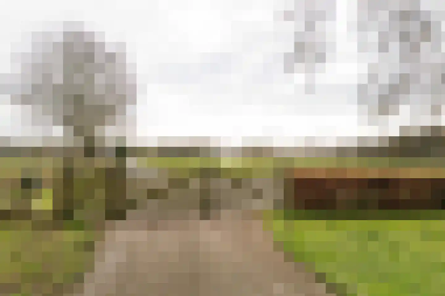 Hombrakensepad 3 A Wilp thumbnail 4