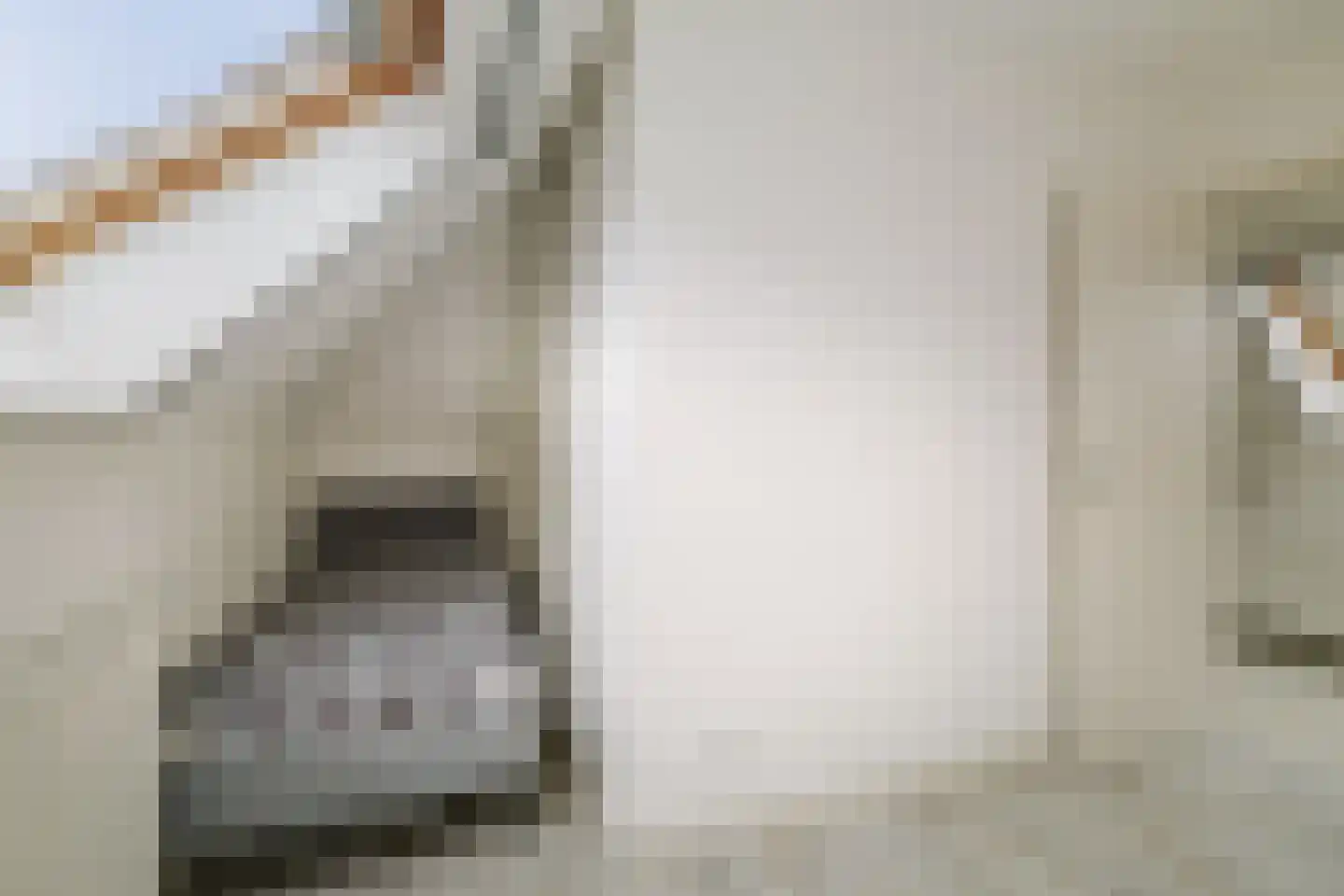 Hombrakensepad 3 A Wilp thumbnail 40