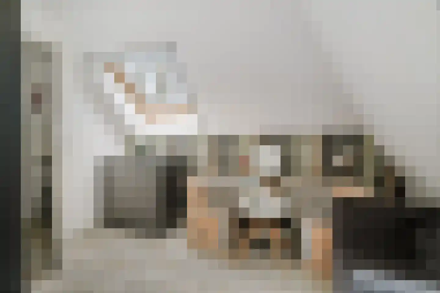 Hombrakensepad 3 A Wilp thumbnail 44