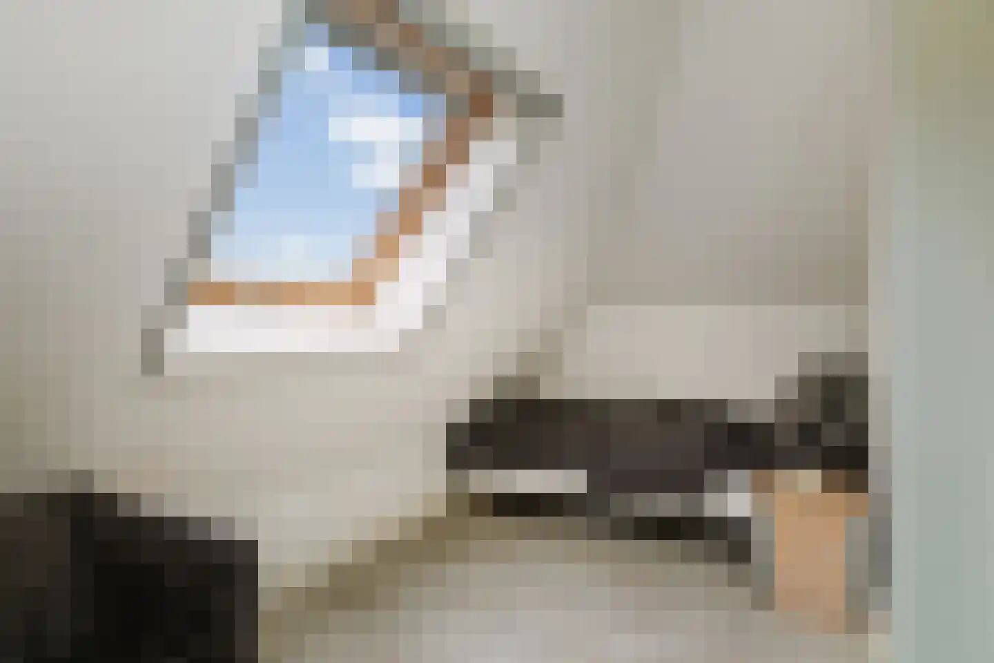 Hombrakensepad 3 A Wilp thumbnail 45