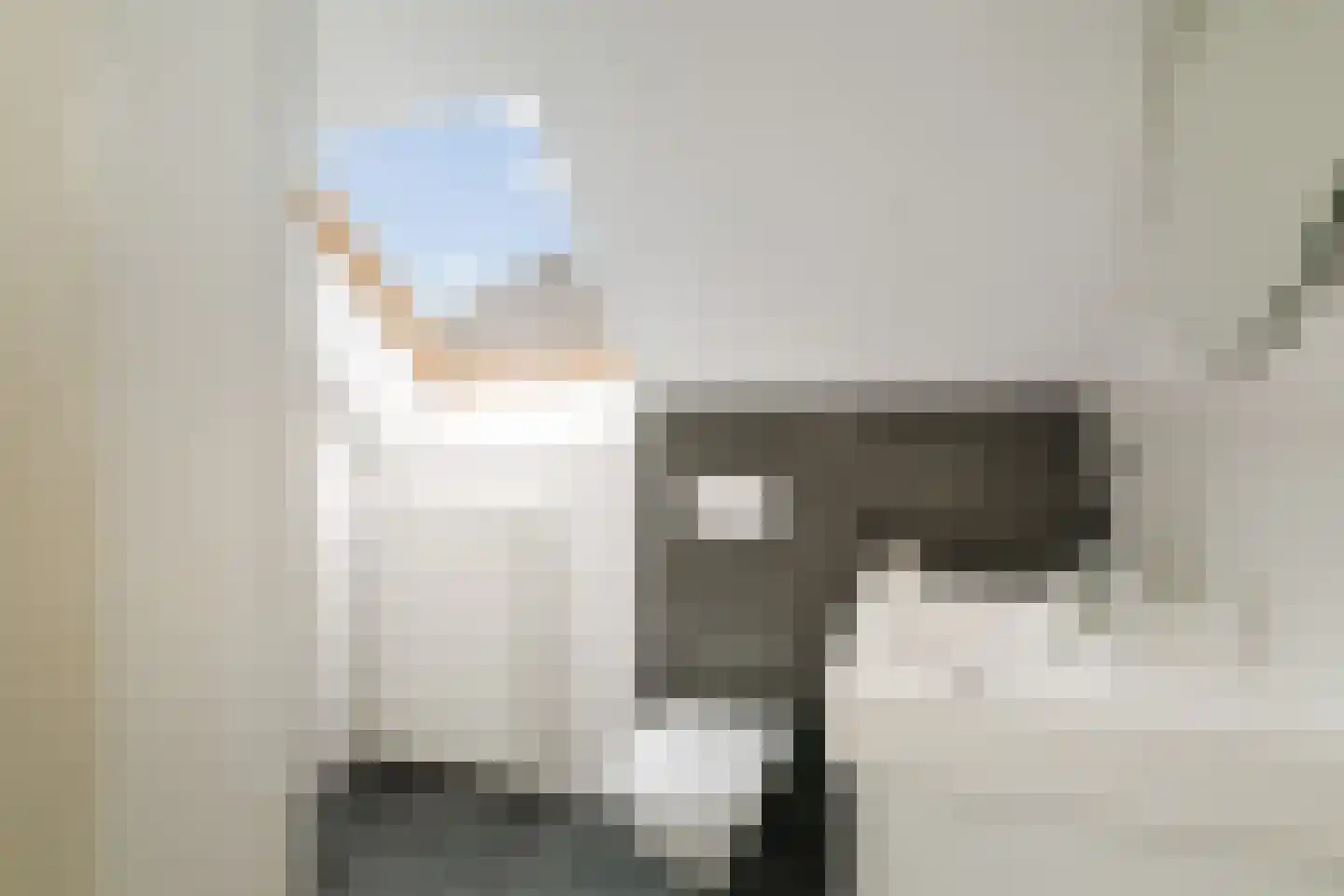 Hombrakensepad 3 A Wilp thumbnail 46