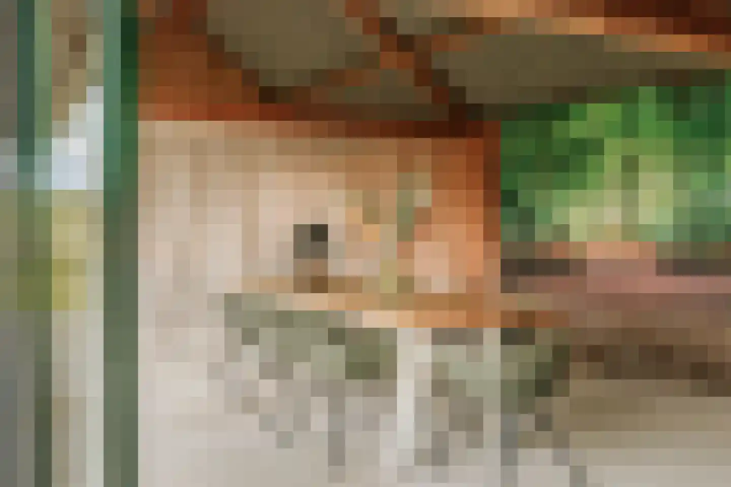 Hombrakensepad 3 A Wilp thumbnail 54