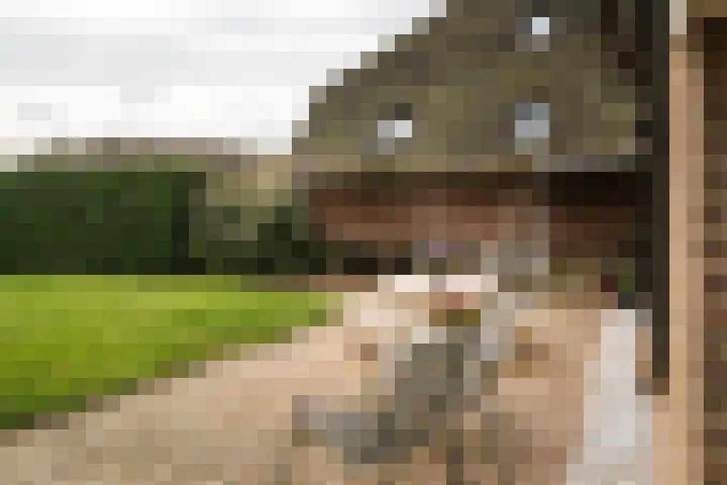 Hombrakensepad 3 A Wilp thumbnail 59