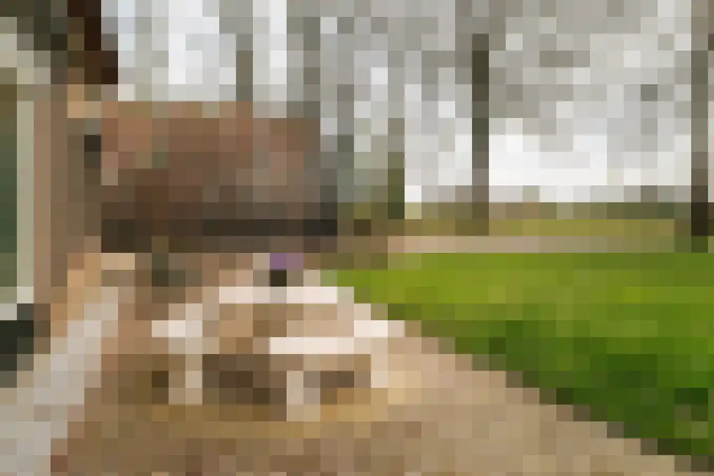 Hombrakensepad 3 A Wilp thumbnail 60