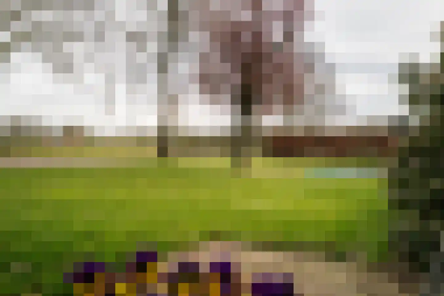 Hombrakensepad 3 A Wilp thumbnail 61