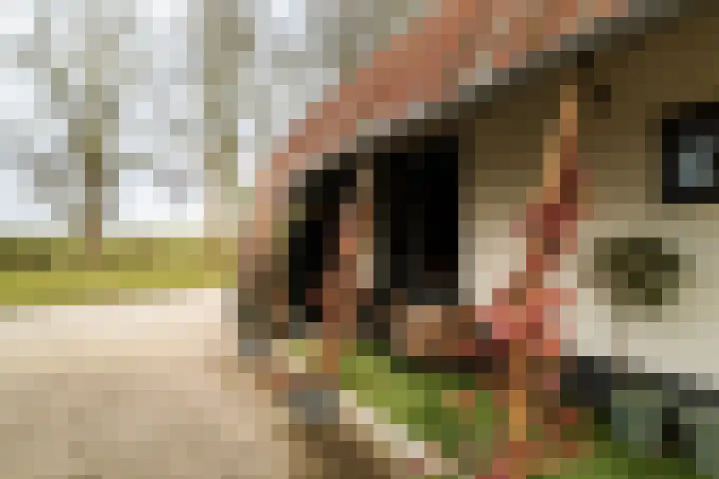 Hombrakensepad 3 A Wilp thumbnail 62