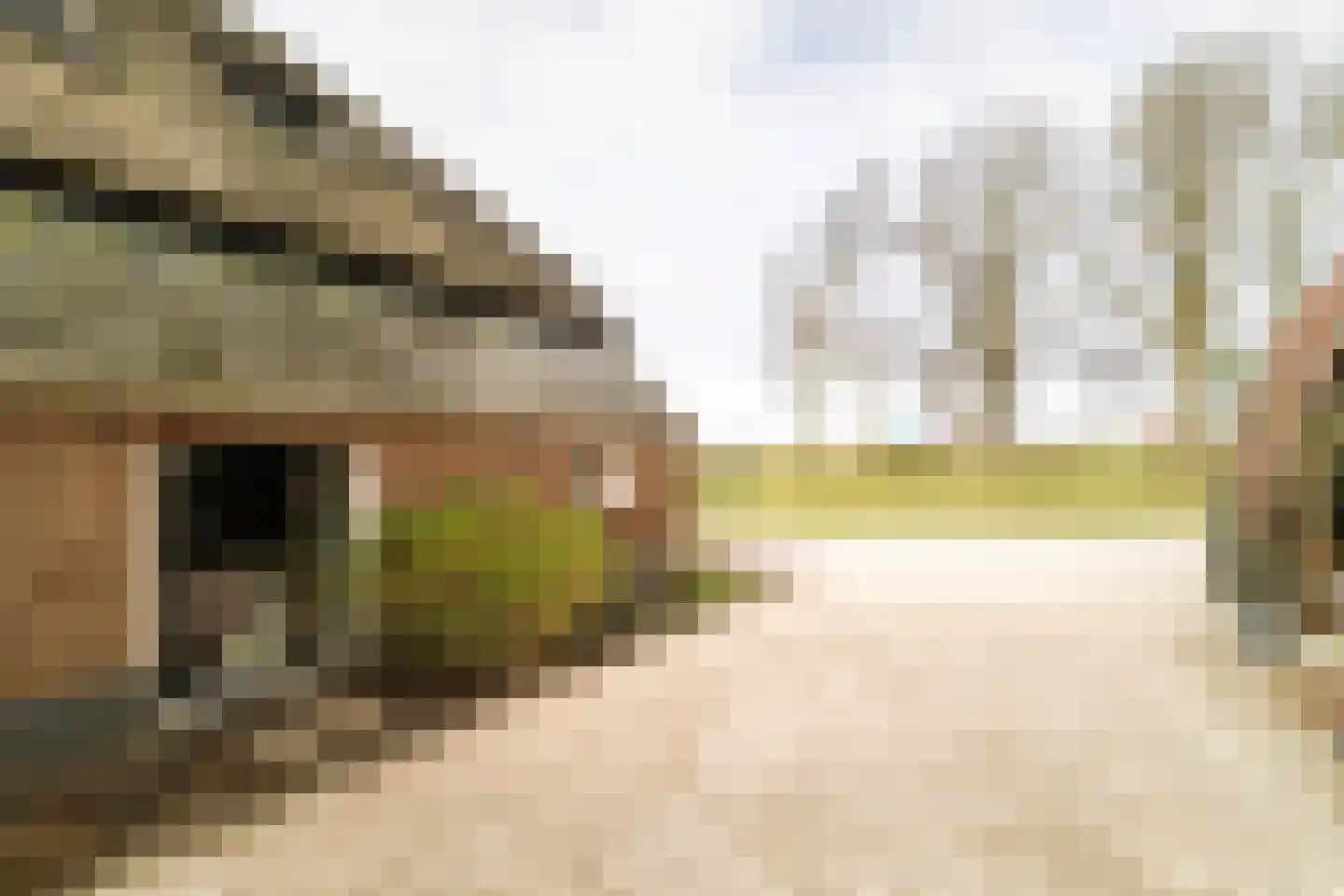 Hombrakensepad 3 A Wilp thumbnail 63