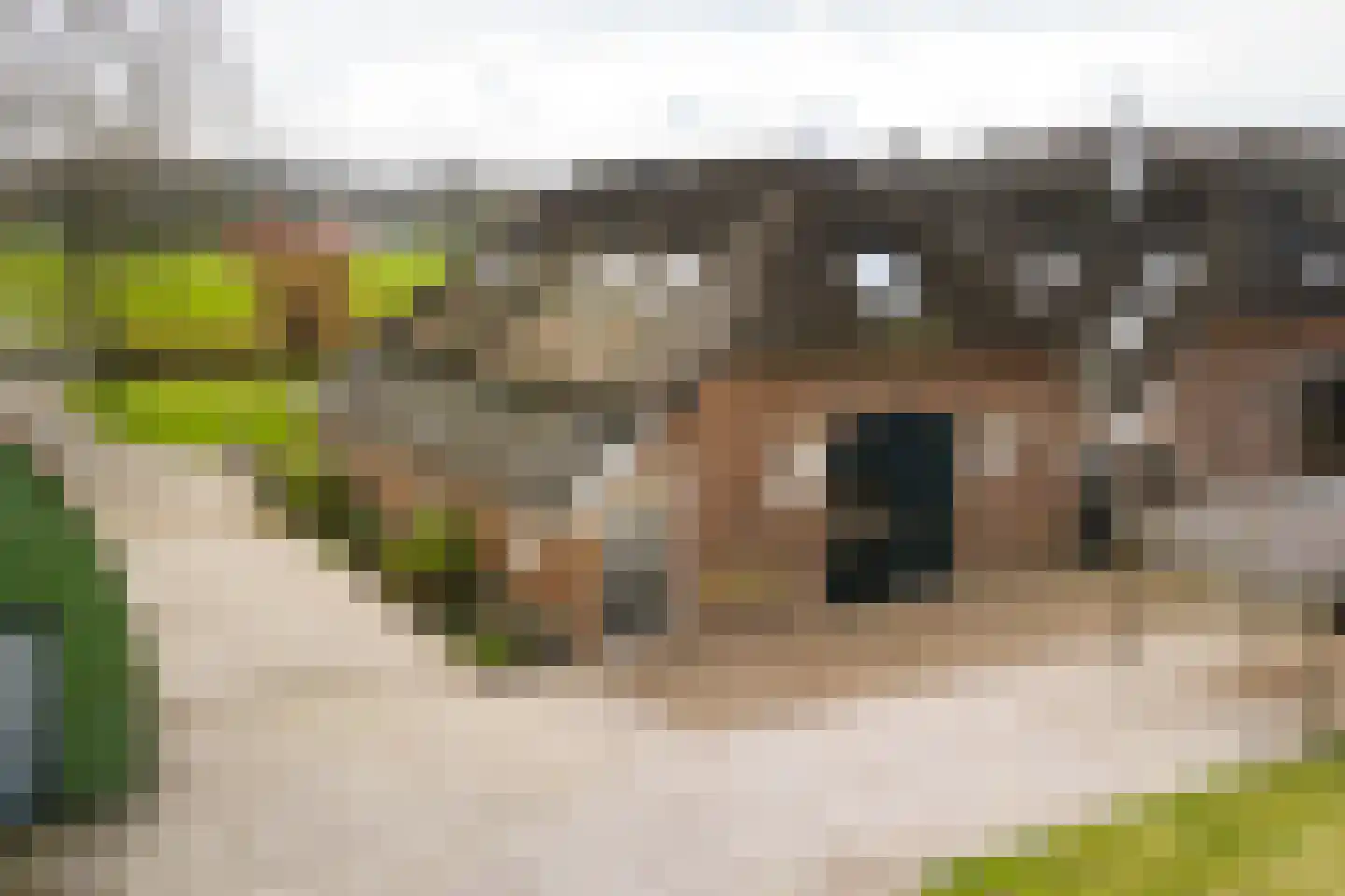 Hombrakensepad 3 A Wilp thumbnail 64